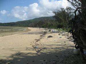 IMG_1949.jpg