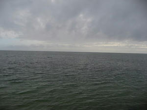IMG_2136.jpg