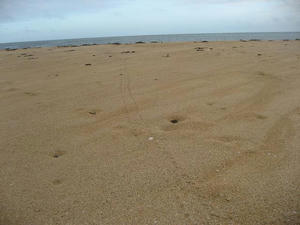 IMG_2146.jpg