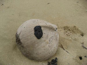 IMG_2172.jpg