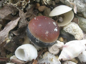 IMG_3185.jpg
