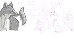 capture242.png