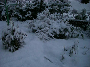 雪、雪、雪♪