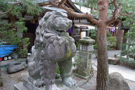狛犬・阿形