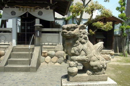 狛犬・阿形