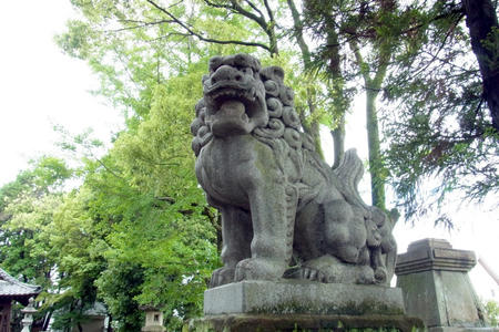 狛犬・阿形