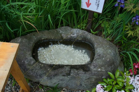 石鉢