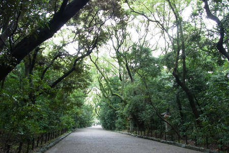 参道