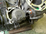 PICT2905.JPG