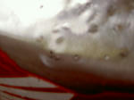 PICT3586.JPG