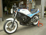 PICT3727.JPG