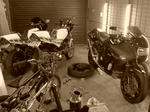 PICT5745.JPG