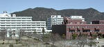 b304cdc4.jpg
