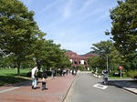 b233029e.jpg