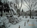DSCN0298.jpg
