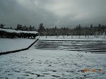 DSCN0340.jpg
