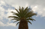 sky001.jpg