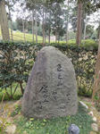 154.jpg