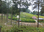 156.jpg