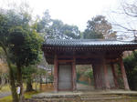 174.jpg