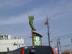 CA3E0008.jpg