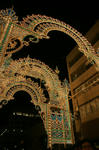 DSC05837.JPG