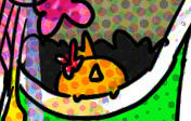 ぴーこ