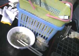 かごにもっさり。
