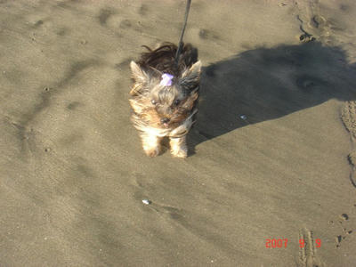 DSC03105.JPG