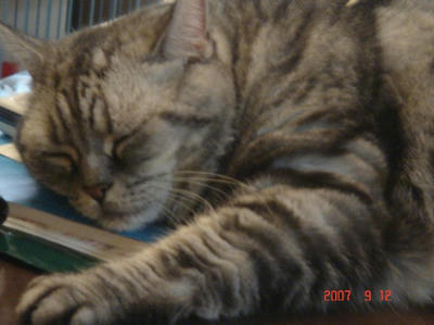 DSC03133.JPG