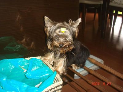 DSC03141.JPG