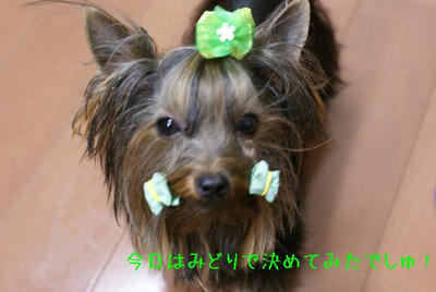 DSC03557.JPG