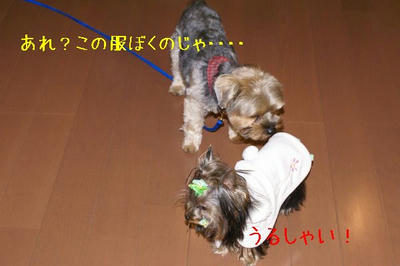 DSC03601.jpg