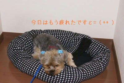 DSC03715.jpg