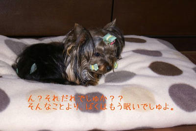 DSC03718.jpg