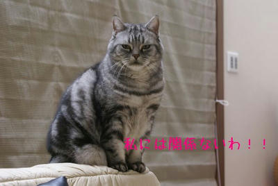 DSC03738.jpg