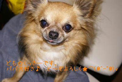 DSC03789.jpg
