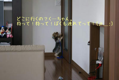 DSC03751.jpg