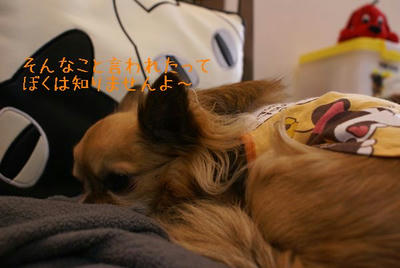 DSC03780.jpg