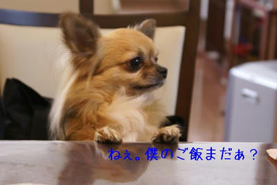 DSC03949.jpg