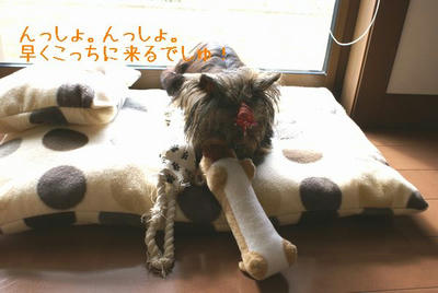 DSC04032.jpg