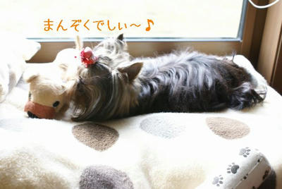 DSC04040.jpg