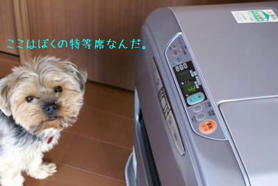 DSC04052.jpg