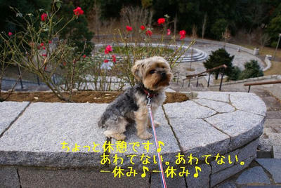 DSC04192.jpg