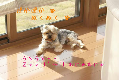 DSC04108.jpg