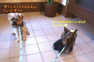 DSC04338.jpg