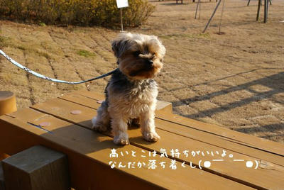 DSC04362.jpg