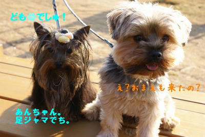 DSC043661.jpg