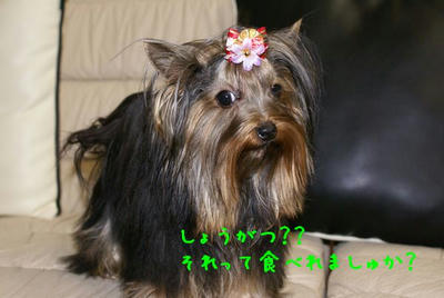 DSC04545.jpg