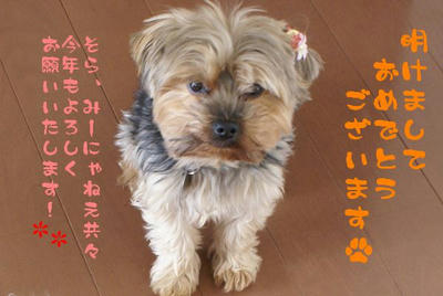 DSC046231.jpg